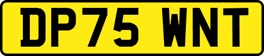 DP75WNT