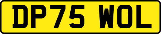 DP75WOL