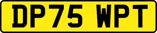 DP75WPT