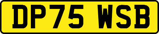 DP75WSB
