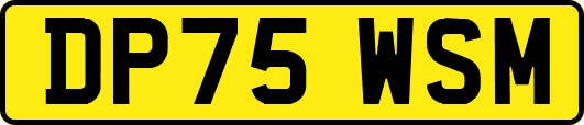 DP75WSM