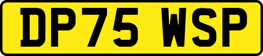 DP75WSP