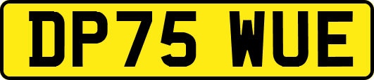 DP75WUE