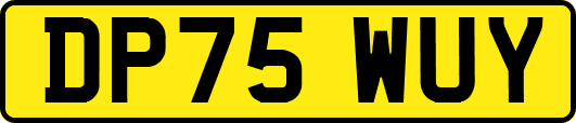 DP75WUY