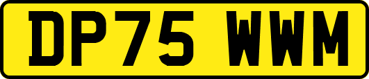 DP75WWM