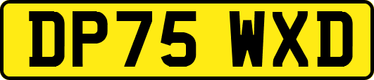 DP75WXD