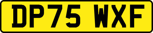 DP75WXF