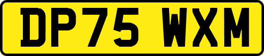 DP75WXM