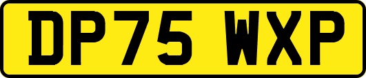 DP75WXP