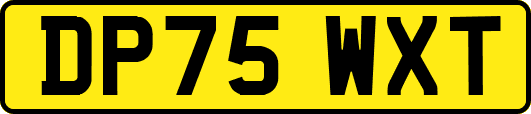 DP75WXT