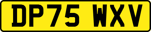 DP75WXV