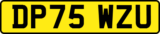 DP75WZU