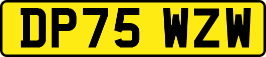 DP75WZW
