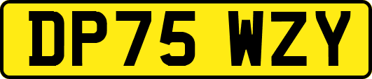 DP75WZY