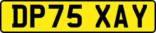 DP75XAY