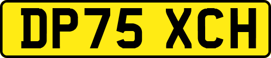 DP75XCH