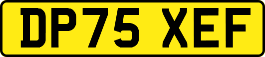 DP75XEF