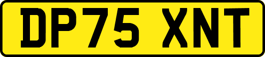 DP75XNT