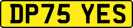DP75YES