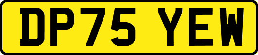 DP75YEW