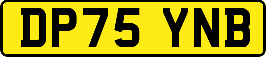 DP75YNB