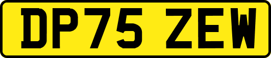DP75ZEW