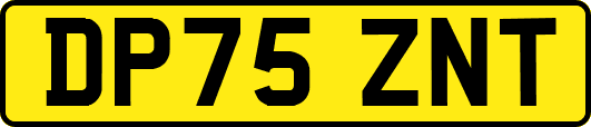 DP75ZNT