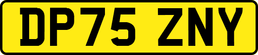 DP75ZNY