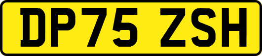 DP75ZSH
