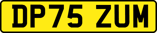 DP75ZUM