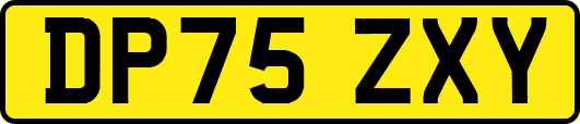 DP75ZXY