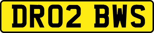DR02BWS