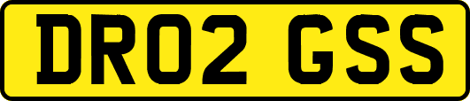 DR02GSS