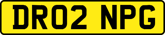 DR02NPG