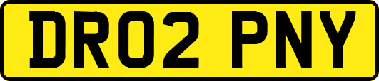 DR02PNY