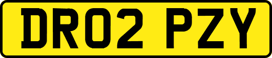 DR02PZY