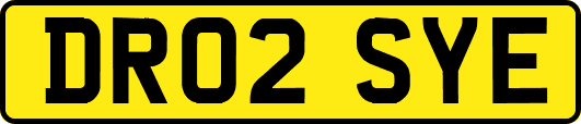 DR02SYE
