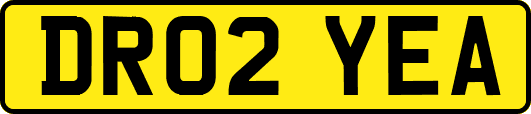 DR02YEA