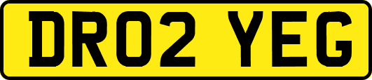 DR02YEG
