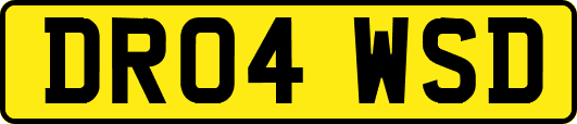 DR04WSD