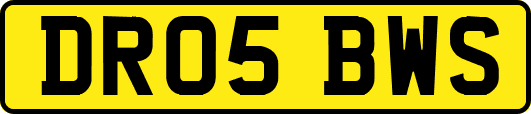 DR05BWS