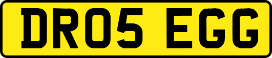 DR05EGG