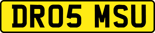DR05MSU