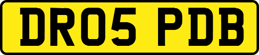 DR05PDB