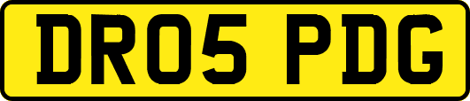 DR05PDG