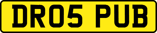 DR05PUB