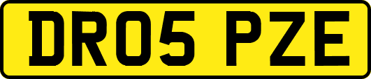 DR05PZE