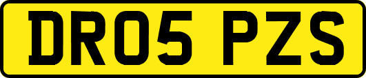 DR05PZS