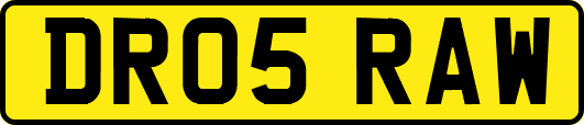 DR05RAW