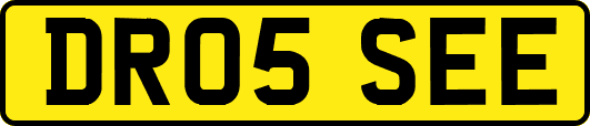 DR05SEE